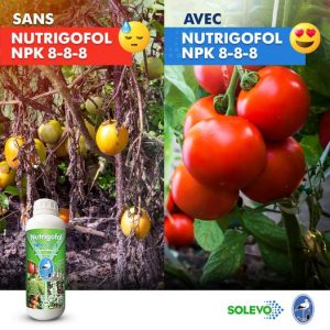 Engrais foliaire NUTRIGOFOL 1 litre -Toutes les cultures