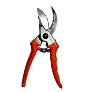 Sécateur spécial cacao