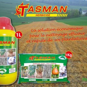 Herbicide total TASMAN 360 SL 1 litre