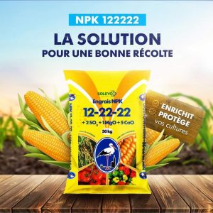 Engrais granulé NPK 12-22-22 1 kg – Cultures maraichères, riz, maïs