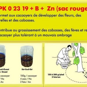 Engrais granulé NPK 0-23-19 50 kg – Spécial Cacao