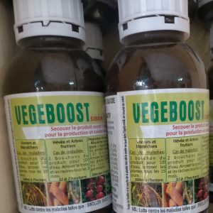 Engrais fongicide biologique VEGEBOOST SIBRA 500 ml – Toutes les cultures