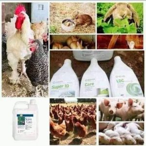 Nettoyant SUPER 10 1 litre – Elevage