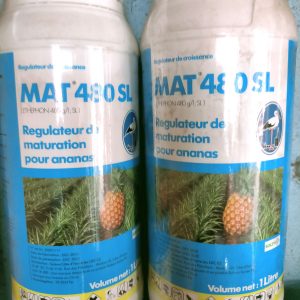 Régulateur de croissance MAT 480 SL 1 litre – Ananas