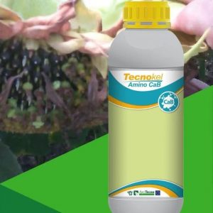 Biostimulant TECNOKEL AMINO CAB 1 litre – Cultures maraichères