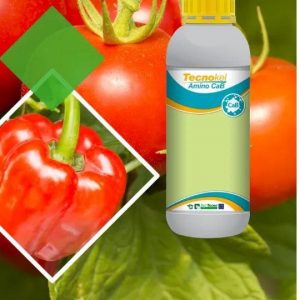 Biostimulant TECNOKEL AMINO CAB 1 litre – Tomate, poivron