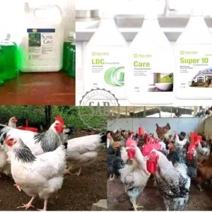 Nettoyant SUPER 10 1 litre – Elevage