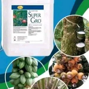Engrais foliaire 100% Bio SUPER GRO 5 litres – Cultures de rente