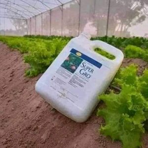 Engrais foliaire 100% Bio SUPER GRO 5 litres – Laitue, salade