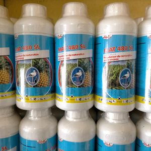 Régulateur de maturation MAT 480 SL 1litre – Ananas