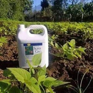 Engrais liquide naturel SUPER GRO 5 litres – Piment