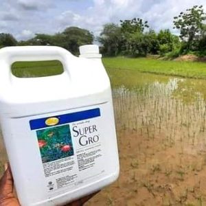 Engrais liquide 100% naturel SUPER GRO 5 litres – Riz