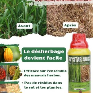 Herbicide total GLYSTAR 410 SL 1 litre – Toutes les cultures