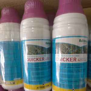 Régulateur de croissance QUICKER 480 SL 1 litre – Canne à sucre