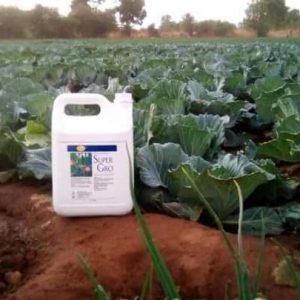 Engrais foliaire 100% Bio SUPER GRO 5 litres – Chou