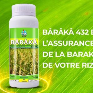 Herbicide liquide sélectif BÂRÂKÂ 432 EC 1 litre – Spécial riz