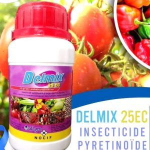 Insecticide nématicide DELMIX 25 EC 1 litre – Cultures maraichères et vivrières