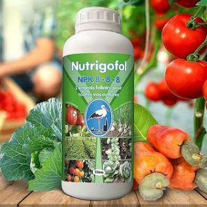 Engrais foliaire NUTRIGOFOL NPK 8-8-8 1 litre – Toute les cultures