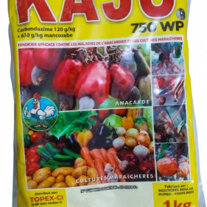 Fongicide KAJU 750 WP 1 kg – Anacarde, cultures maraichères