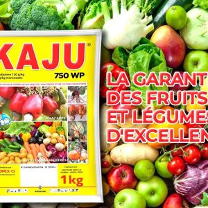 Fongicide KAJU 750 WP 1 kg – Anacarde, cultures maraichères