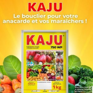 Fongicide KAJU 750 WP 1 kg – Anacarde, cultures maraichères