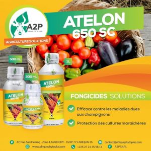 Fongicide liquide ATELON 650 SC 500 ml – Cultures maraichères