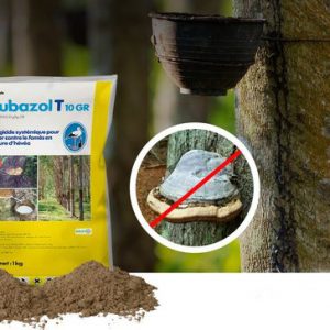 Fongicide systémique RUBAZOL T 10 GR 1 kg – Hévéa