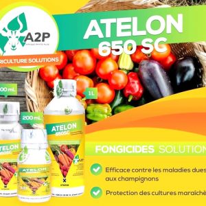 Fongicide liquide ATELON 650 SC 1 litre – Cultures maraichères