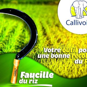 Faucille récolteuse du riz en acier forgé et trempé TRAMONTINA 42 cm manche bois – Agriculture, bricolage, jardinage