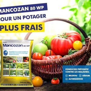 Fongicide granulé MANCOZAN 80 WP 1 kg – Cultures maraichères
