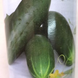 Semence de CONCOMBRE TOKYO F1 50 gr