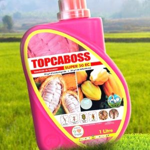Insecticide liquide TOPCABOSS SUPER 50 EC 1 litre – Cacao