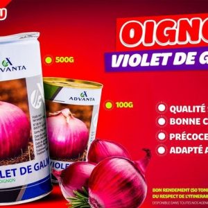 Semence d&rsquo;OIGNON VIOLET DE GALMI 100 gr