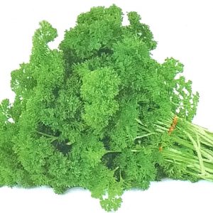 Semence de PERSIL FRISE VERT FONCE Raci 100 gr