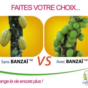 Biostimulant foliaire BANZAI BONUS 1 litre (2 en 1) – Cacao