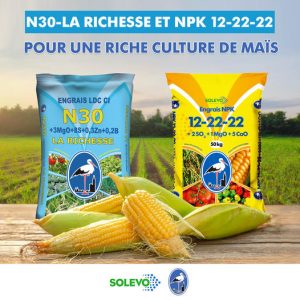 Engrais granulé N30 50 kg – Riz