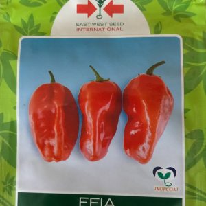 Semence de PIMENT EFIA 2,5 gr