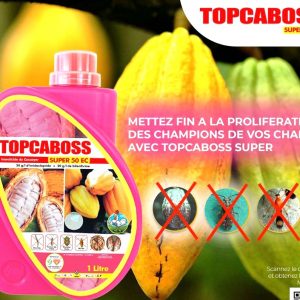 Insecticide liquide TOPCABOSS SUPER 50 EC 1 litre – Cacao