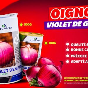 Semence d&rsquo;OIGNON VIOLET DE GALMI 500 gr