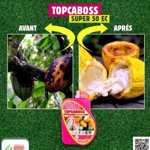 Insecticide liquide TOPCABOSS SUPER 50 EC 1 litre – Cacao