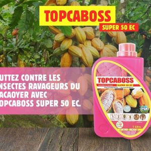 Insecticide liquide TOPCABOSS SUPER 50 EC 1 litre – Cacao