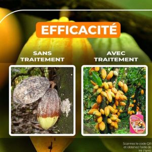 Insecticide liquide TOPCABOSS SUPER 50 EC 1 litre – Cacao