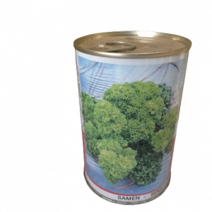 Semence de PERSIL FRISE VERT FONCE Raci 100 gr