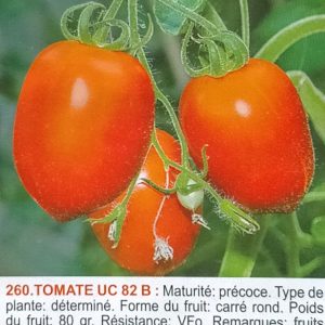 Semence de TOMATE UC 82B 100gr Solevo