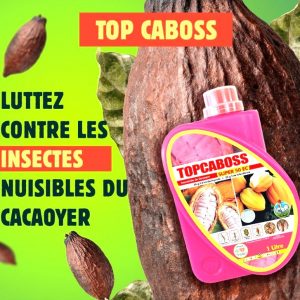 Insecticide liquide TOPCABOSS SUPER 50 EC 1 litre – Cacao