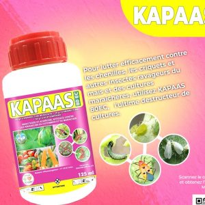 Insecticide-acaricide KAPAAS 80 EC 125 ml – Cultures maraichères, maïs, coton