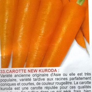 Semence de CAROTTE NEW KURODA 100 gr