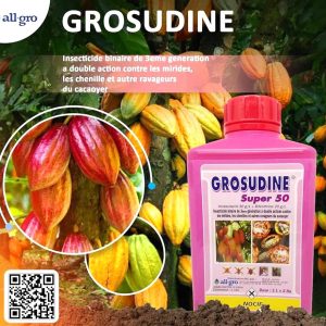 Insecticide liquide binaire GROSUDINE 50 1 litre – Cacao, café
