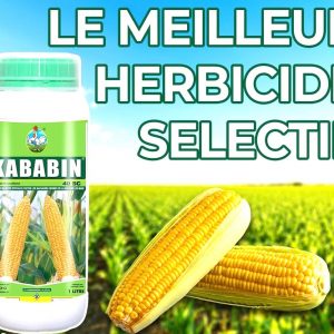 Herbicide liquide sélectif de post-levée du maïs KABABIN 40 SC 1 litre