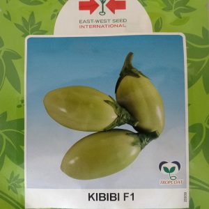Semence d&rsquo;AUBERGINE KIBIBI F1 2,5 gr